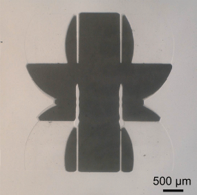 MM4 フォトリソ妖精