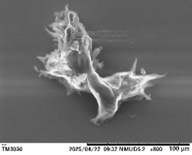 UM6 100ミクロンのニケ