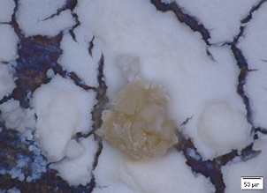 UM8 南極大陸の奥地で発見